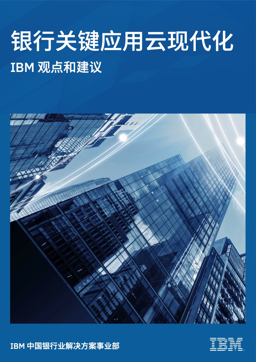 IBM咨询报告