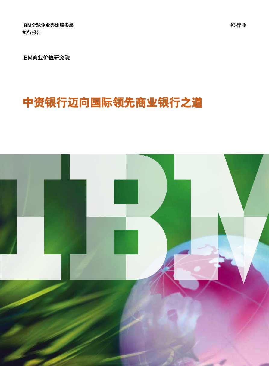 IBM咨询报告