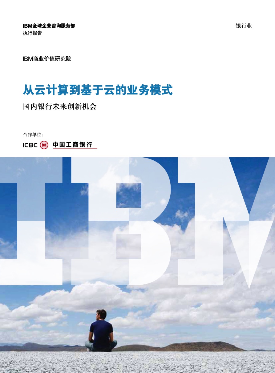 IBM咨询报告