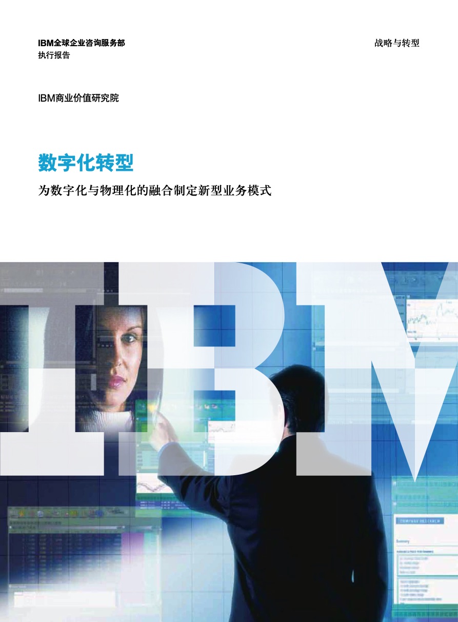 IBM咨询报告