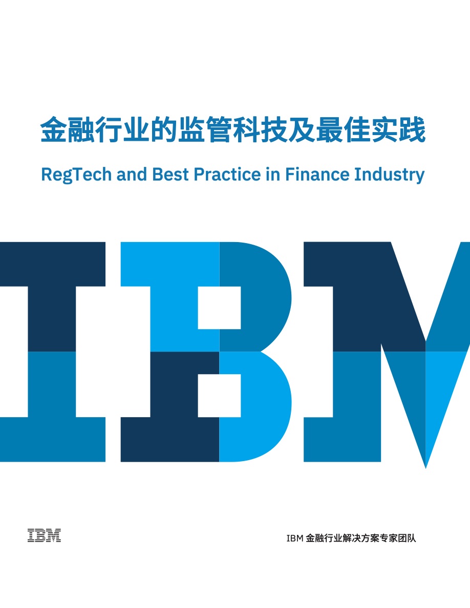 IBM咨询报告
