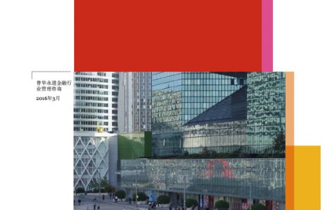 普华永道：消费金融-中国零售银行的蓝海（2016）