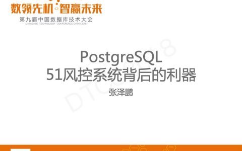 POSTgreSQL：51风控系统背后的利器