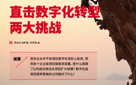 埃森哲：直击数字化转型两大挑战