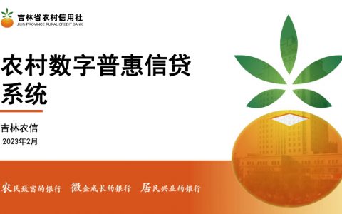 吉林农信：农村数字普惠金融信贷系统项目