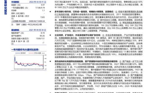 瑞丰银行-农商行小麻雀省内小微标杆银行（22页）