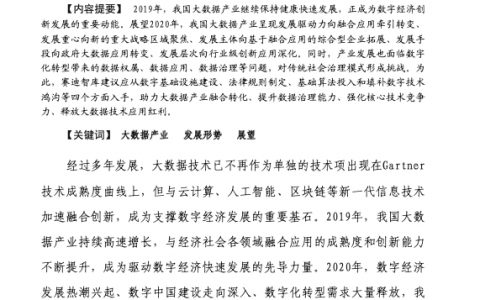 2020年中国大数据产业发展形势展望（10页）