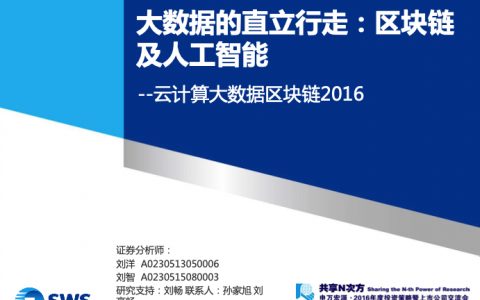 申万宏源-大数据的直立行走-区块链及人工智能