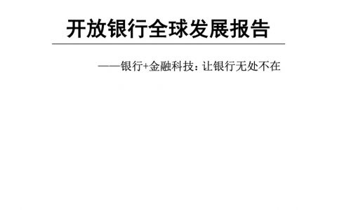 开放银行全球发展报告——银行+金融科技：让银行无处不在(44页)