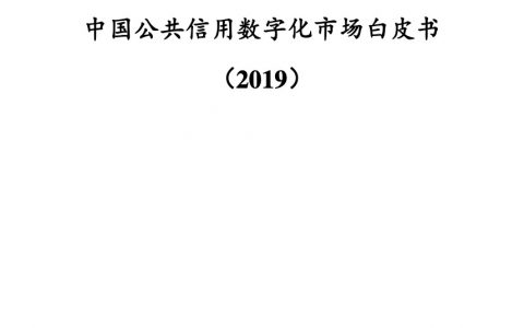 满天星：2019公共信用数字化市场白皮书(28页)