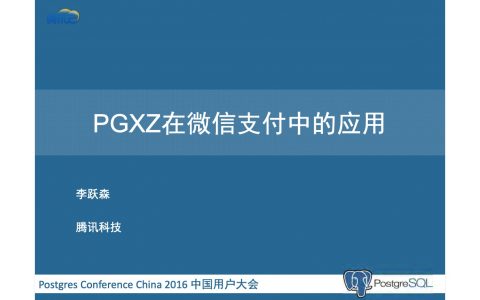 PGXZ在微信支付中的应用