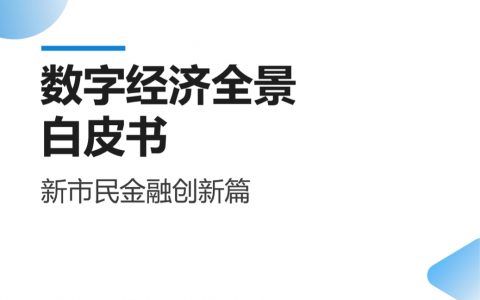 易观分析：数字经济全景白皮书-新市民金融创新篇（11页）