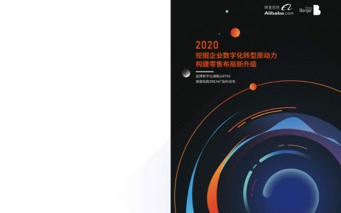 阿里巴巴&罗兰贝格：挖掘企业数字化转型原动力，构建零售布局新升级（19页）