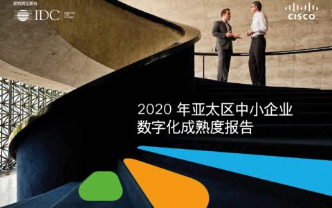 IDC：2020亚太区中小企业数字化成熟度报告（36页）