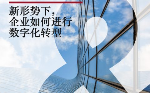 思略特：新形势下，企业如何进行数字化转型（23页）