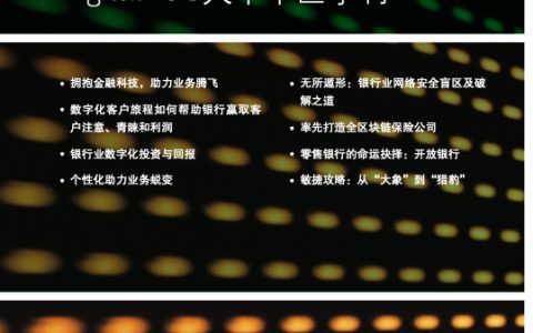 DigitalBCG大中华区季刊：金融数字化专刊