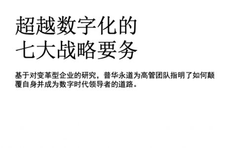 普华永道：超越数字化-数字化转型的七大战略要务（12页）