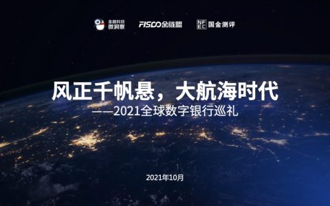 金链盟：2021全球数字银行报告（205页）