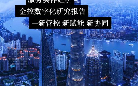 普华永道：金控数字化转型研究报告（48页）