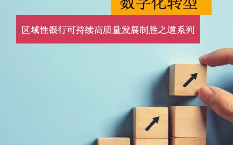 普华永道：数字化转型-区域性银行可持续高质量发展制胜之道系列2022（42页）