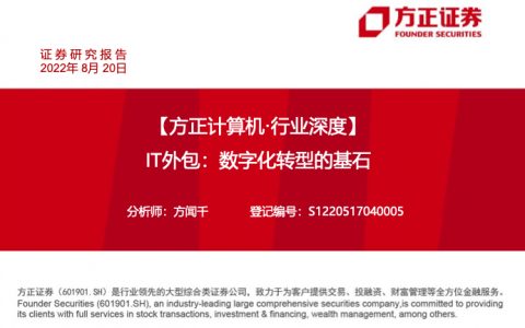 IT外包，数字化转型的基石（101页）