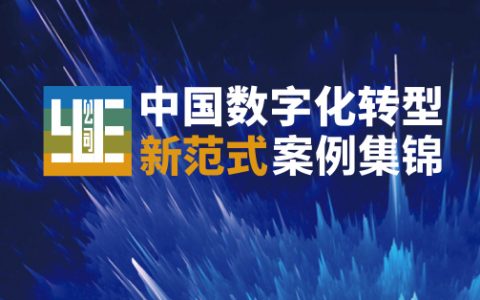 中国数字化转型新范式案例锦集（46页）