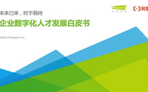 艾瑞咨询：2022企业数字化人才发展白皮书（29页）