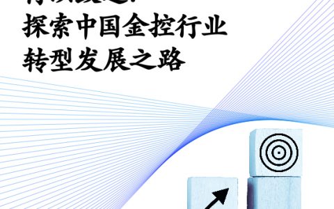 麦肯锡：2022金融行业系列白皮书——行以致远探索中国金控行业转型发展之路（34页）