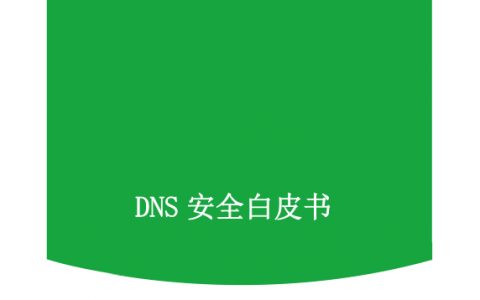 360安全：DNS安全白皮书(24页)