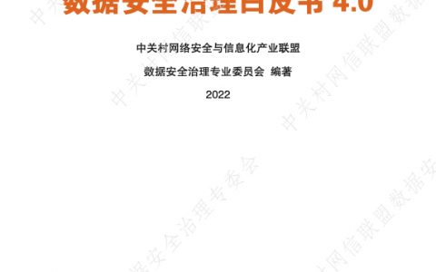 2022数据安全治理白皮书4.0（208页）
