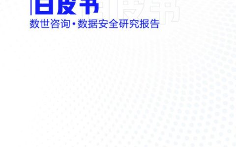 2022数据治理安全DGS白皮书（29页）