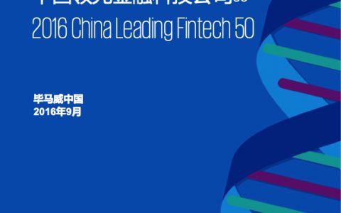 中国领先金融科技公司50强