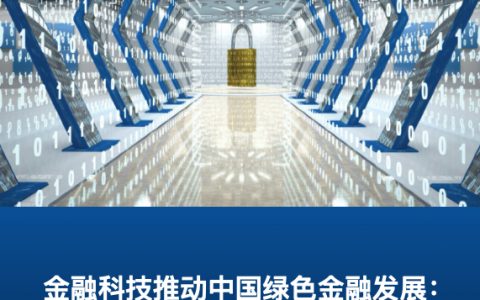 金融科技推动中国绿色金融发展：案例与展望（28页）