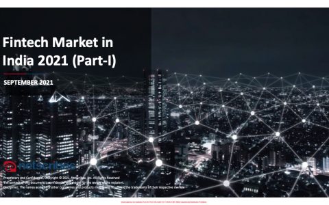 2021年印度金融科技市场行业报告第一部分-英文版（59页）