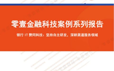 金融科技案例系列报告-赞同科技（10页）