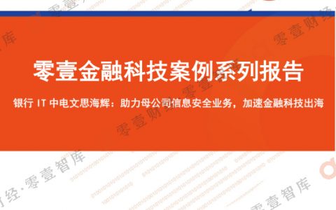 金融科技案例系列报告-文思海辉（12页）