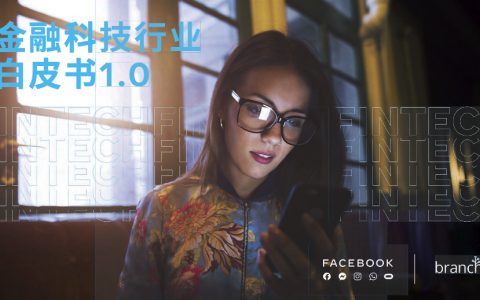 BranchampFacebook：金融科技行业白皮书1.0（65页）