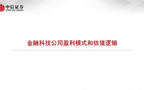金融科技公司盈利模式和估值逻辑（52页）