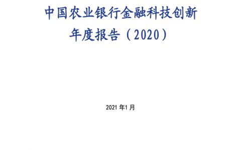 中国农业银行金融科技创新年度报告2020（27页）