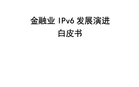 北京金融科技产业联盟：2023金融业IPv6发展演进白皮书（53页）