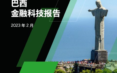 2023年巴西金融科技报告（41页）