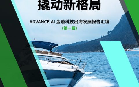 AI智慧出海撬动新格局-金融科技出海发展报告汇编第一辑（24页）
