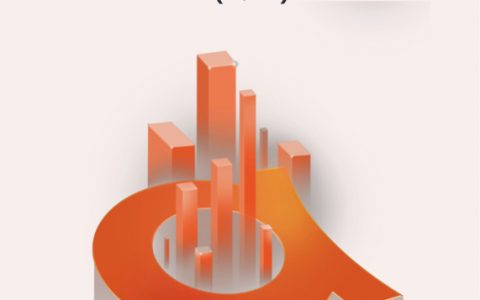 19家银行金融科技子公司战略发展报告 (2022）