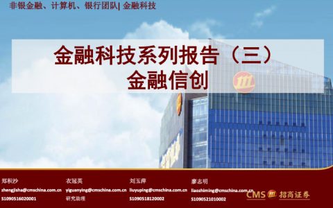 金融科技行业系列报告三金融信创（29页）