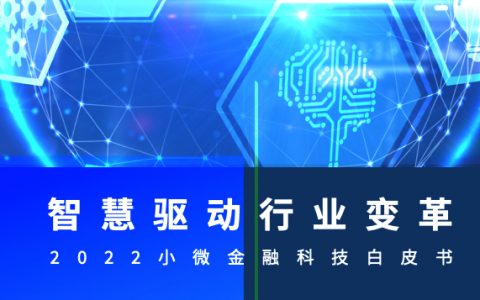 IDC：2022小微金融科技白皮书（40页）