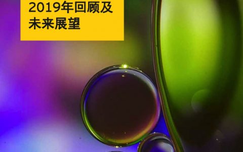 安永：中国上市银行2019年回顾及未来展望（72页）