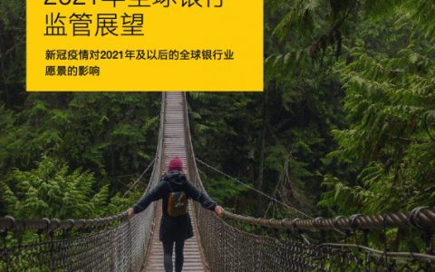 监管提振市场信心，稳增长是否将持续发力?（14页）