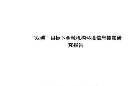 北京绿色金融与可持续金融发展研究院双碳目标下金融机构环境信息披露研究报告（82页）