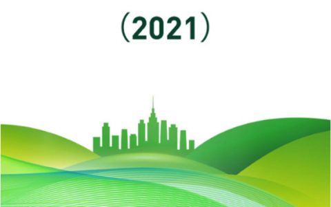 零壹智库：双碳目标下的绿色金融发展报告2021（46页）