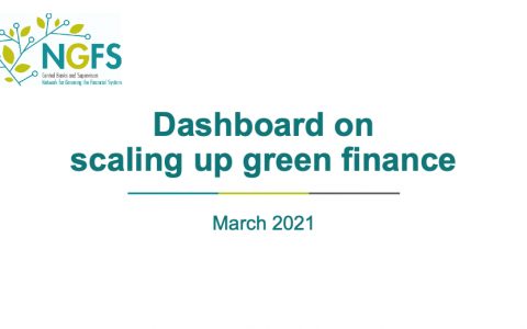 扩大绿色金融的仪表盘-英文版（26页）